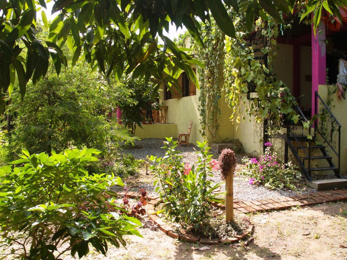 Sistarasta Hotel Palomino Exterior photo